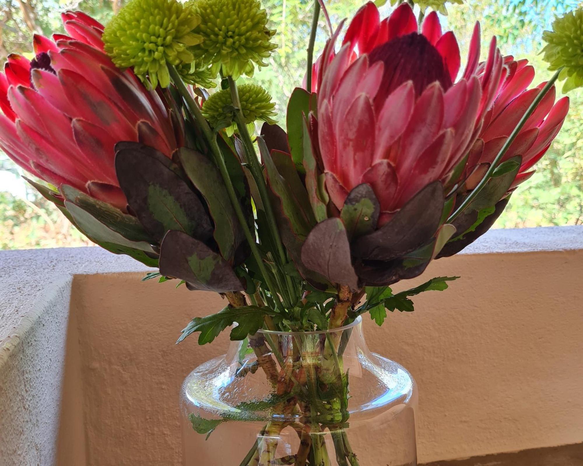 The Dreamcatcher Lodge Hoedspruit Buitenkant foto